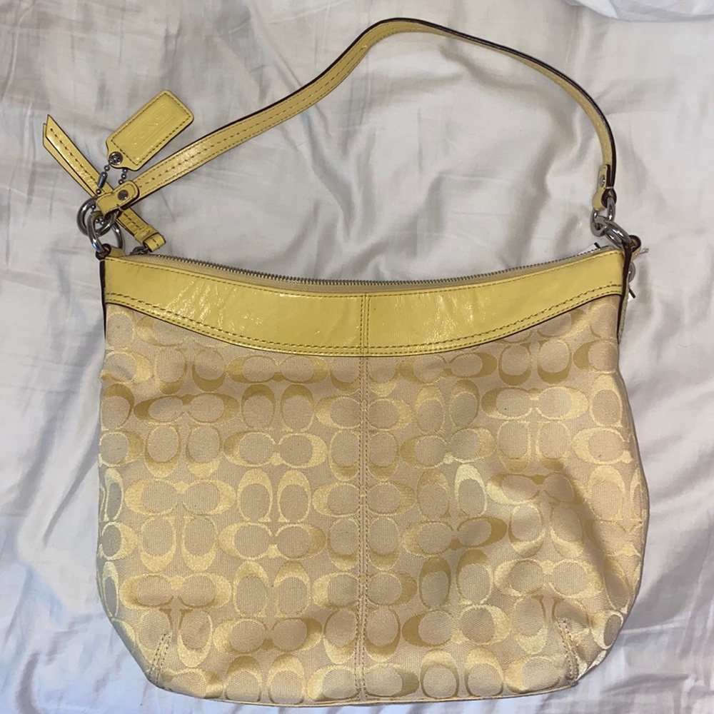 Coach Ashley Hippie Hobo Handbag